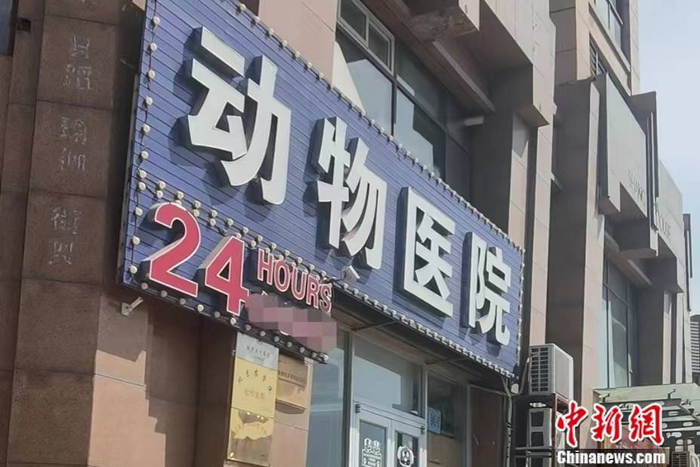 北京丰台区的一家宠物医院。 彭婧如 摄