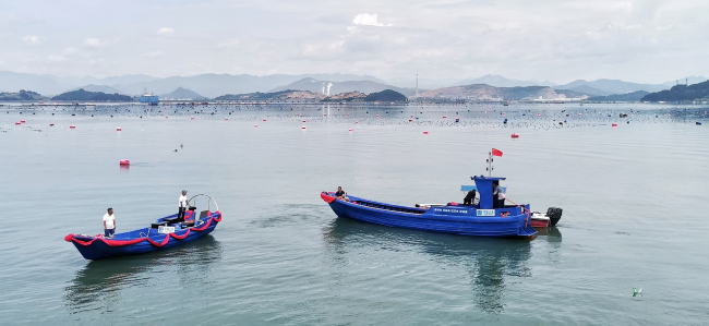 科技启航 "艇"进蓝海 !宁德未来新材料聚乙烯电动渔船成功试水交付