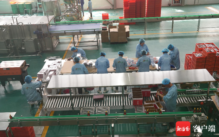 枸杞产品生产线。记者 王洪旭 摄