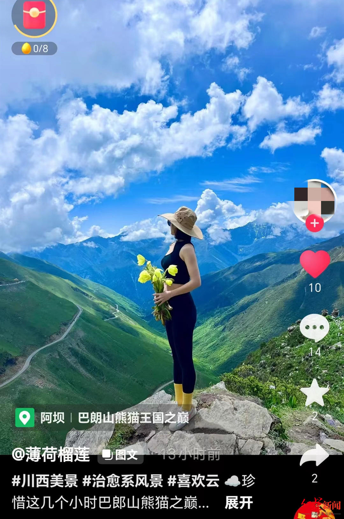 ↑女子手持绿绒蒿打卡拍照