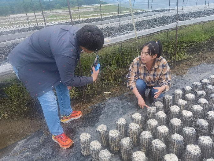 视频博主“东北杨仔”正在东宁市三岔口镇直播。受访单位供图