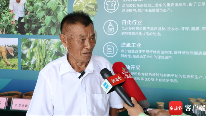 　　黄明安向记者介绍瓜尔豆的选育经过。记者 郑光平 摄