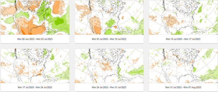 图4：美国产区中长期降雨预报  数据来源：中州期货研究所