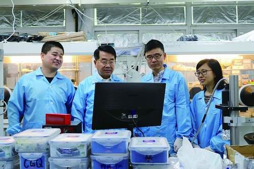 王建浦（右二）和同事们探讨研究亚微米尺度的离散型钙钛矿薄膜。