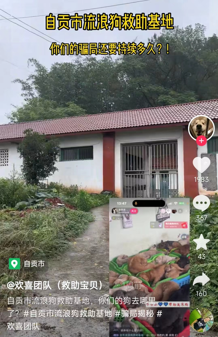↑网友爆料救助基地“人去楼口” 视频截图