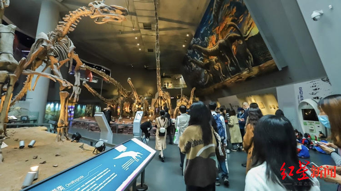 ▲暑期的博物馆也是热门亲子游打卡地 资料图
