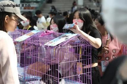 爱宠人士更是纷纷对活动表示认可，活动深圳站现场参与市民林女士说到，“希望通过活动可以让更多的人关注到流浪猫的情况。”