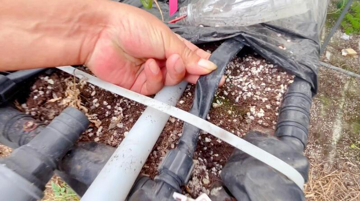 滴管孔径小，纳米有机肥无法溶解。朱雅文 摄