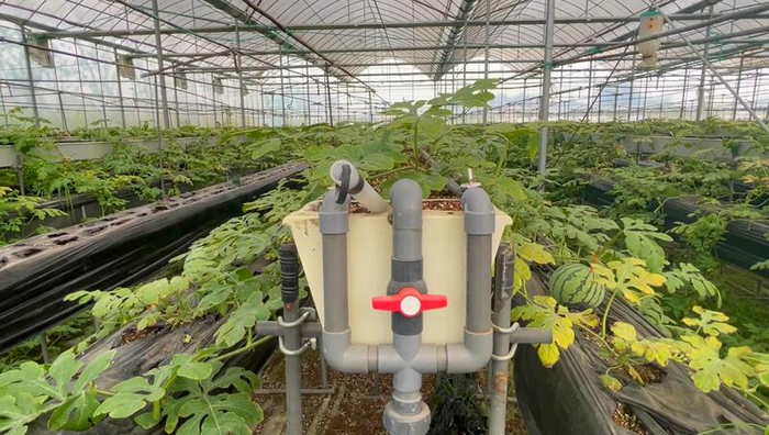 改良后的基质槽 节能采暖设备。朱雅文 摄