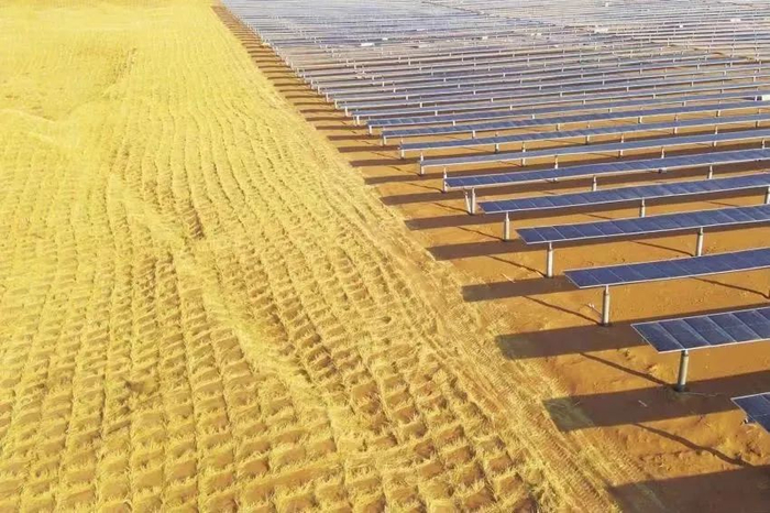 草方格治沙 图片来源：公司供图