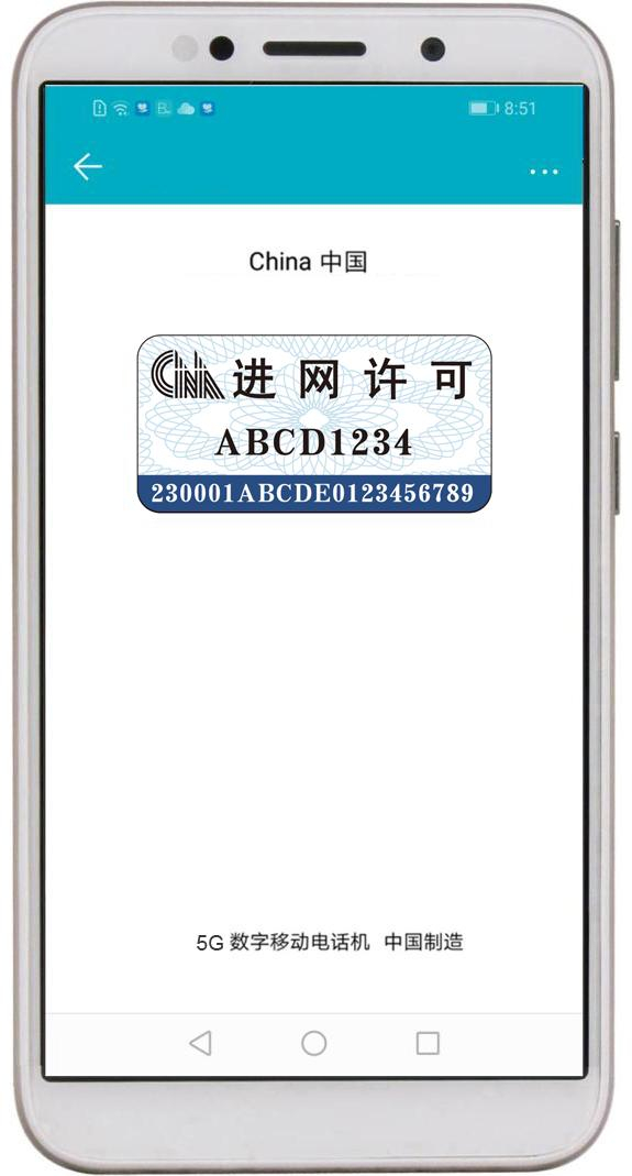 图4  电子显示示意图