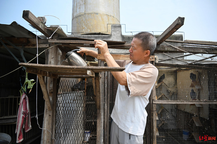 ▲李荣光正在给信鸽添水