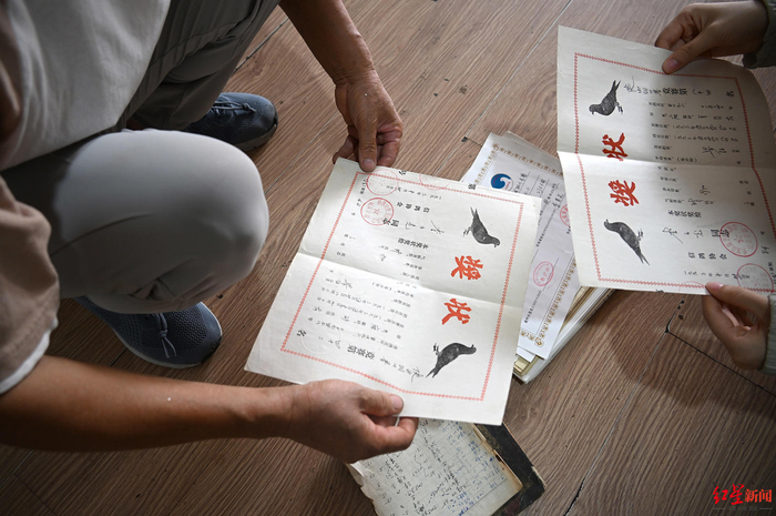 ▲李荣光展示他的信鸽以往获得的奖状