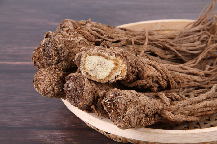 中药材当归 图源：图虫创意