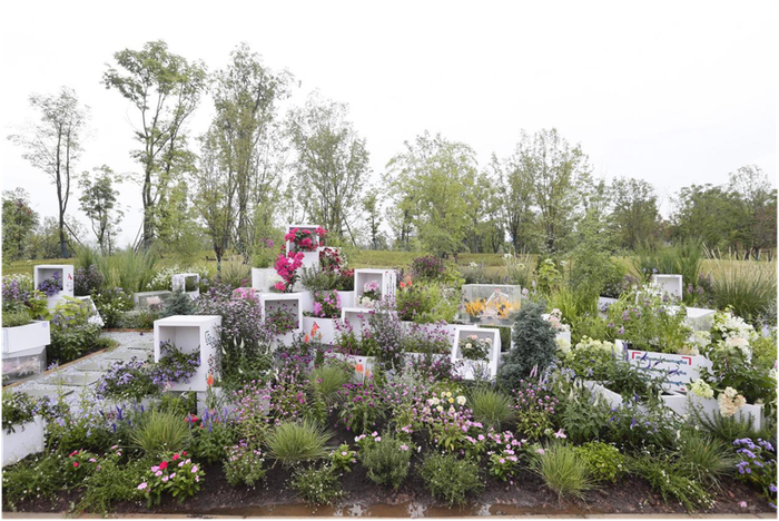 ▲设计金奖作品：《麻麻说：青春不言败！》