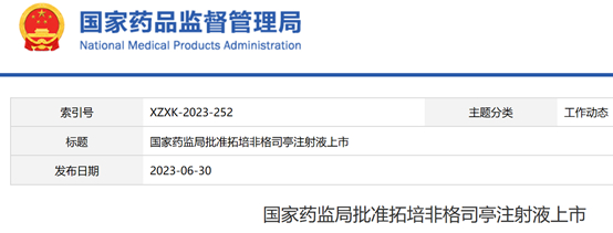 截图来源：NMPA官网