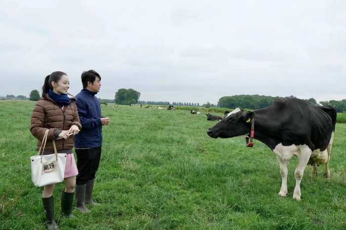 郎朗和吉娜在海普诺凯1897荷兰牧场互动