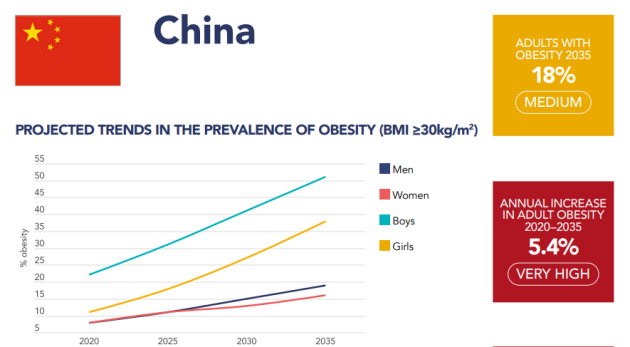 （图源：世界肥胖联盟官网）