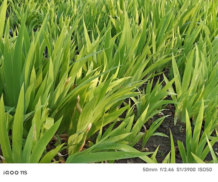 图源：品玩 ByArsT摄