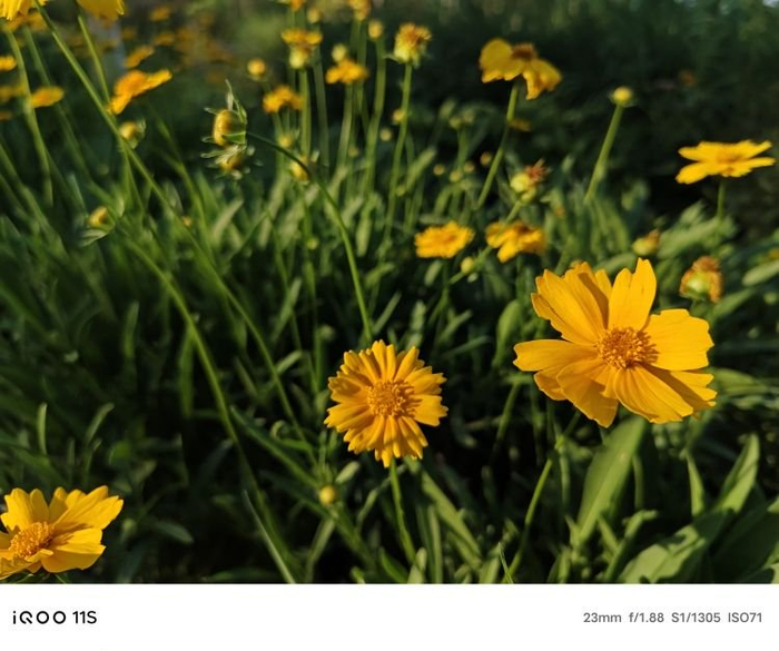 图源：品玩 ByArsT摄