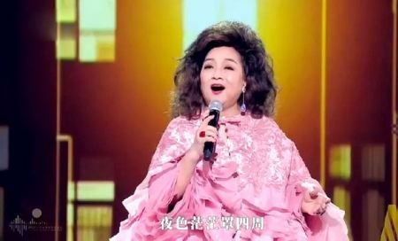 徐小凤在晚会上演唱。（视频截图）