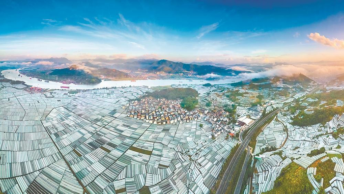     福安市赛江沿岸万亩避雨栽培设施葡萄产业园吴庆堂 摄