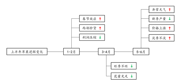 图12 苹果上半年逻辑变化