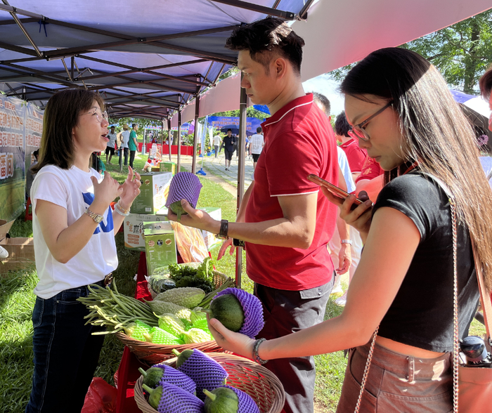 △西江日报记者 甘婉怡 摄