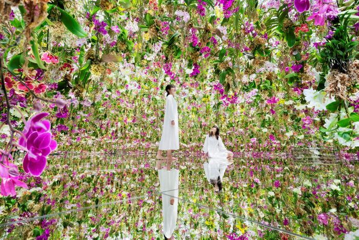 图源：©teamLab