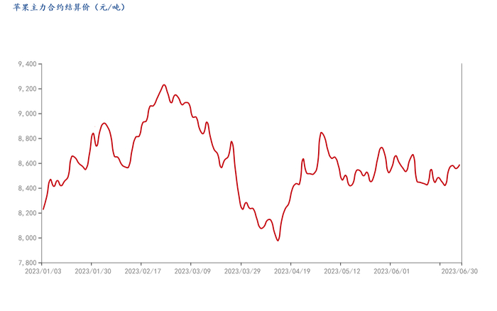 图13 苹果主力合约结算价走势图