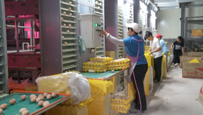 △图源 封开发布