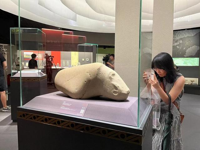 石猪可从多角度欣赏，背下基本信息只是一种