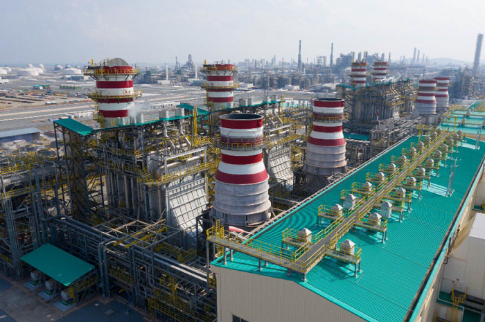 图为边佳兰一体化项目提供优质投资环境和服务助力企业入驻