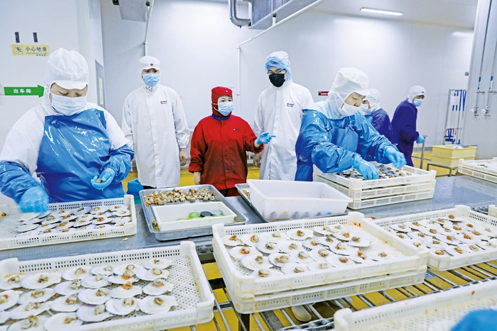 银行工作人员深入海鲜预制菜企业研究解决资金难题。 李敬伟/摄