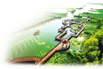 淮阳龙湖赏荷栈道。河南日报资料图片