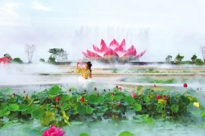 淮阳精品荷花苑美如画。袁东升摄