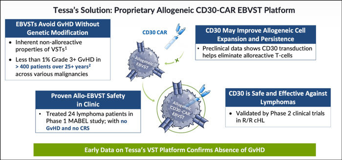 ▲来源：Tessa官网