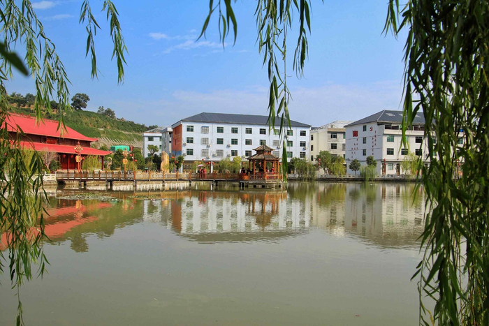 图为柏洋村新貌