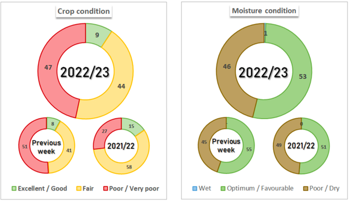数据来源：布交所，国际衍生品智库图表9 巴西玉米生长情况