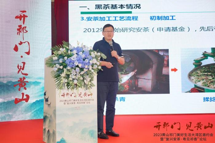 图为安徽农业大学宁井铭教授做《安茶加工及储藏过程中品质变化研究》报告