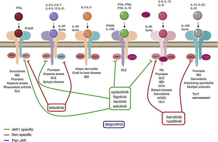 来源：公开信息