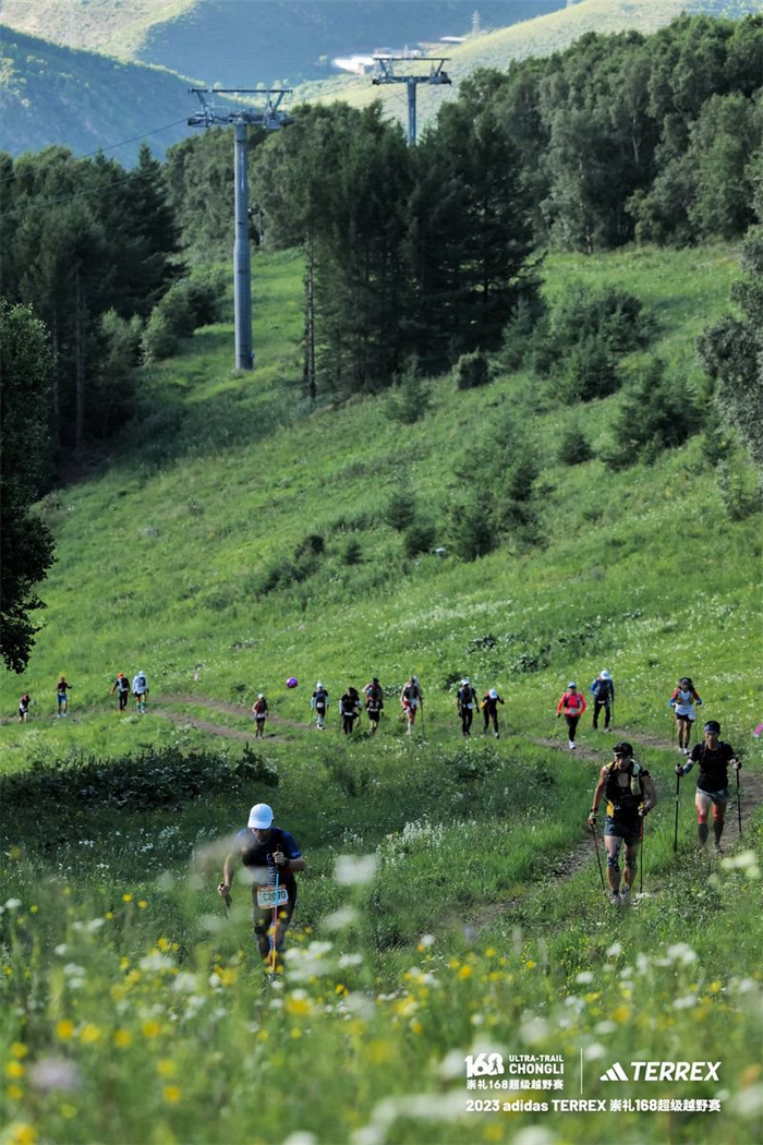 ��弯�ᣬ���Գɷ壬TERREX����רҵԽҰ����