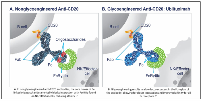 Briumvi旨在实现高效的B细胞低剂量耗竭