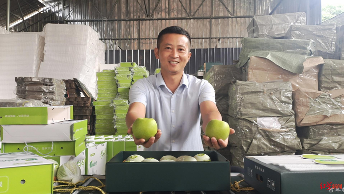 ↑陈凯展示“六月雪梨”