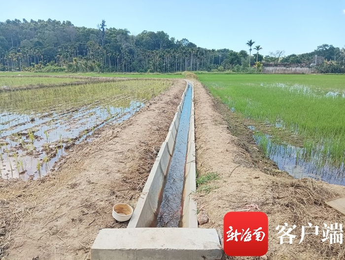 　　基本农田整治后新铺的水渠浇灌着一方良田。记者 苏桂除 摄