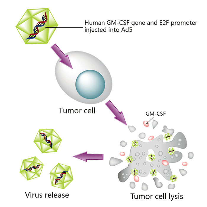 图3. CG0070结构式，来源：药渡数据