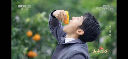 ▲央视名主持撒贝宁点赞蒲江柑橘：九分甜一分酸，最正宗！