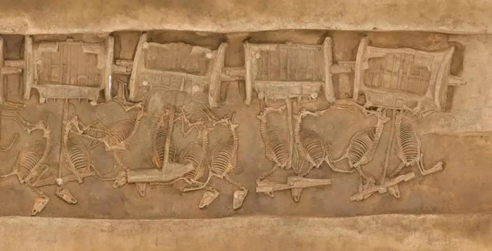 一号车马坑局部