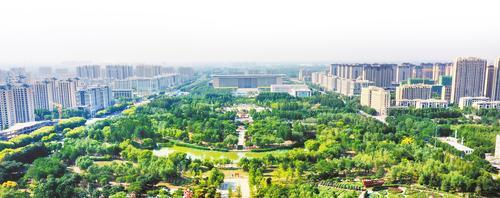     近日，游人在绿意盎然的廊坊市区丹凤公园欣赏夏日美景。  河北日报通讯员 陈 童摄