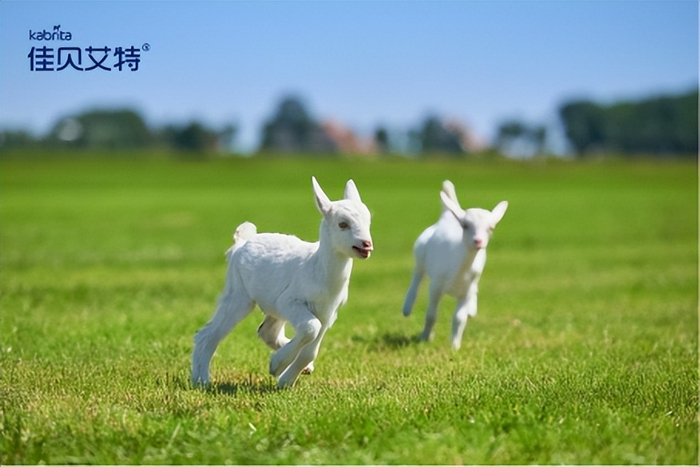 羊奶粉十大名牌排行榜佳贝艾特悦白,好吸收好消化成夏季口粮首选